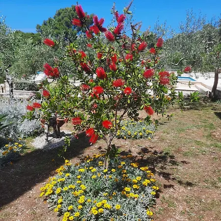 Holiday home Secluded Seaside Milna (Brac)